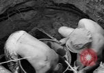 Image of 8th Fighter Group Leyte Philippines, 1944, second 28 stock footage video 65675068915