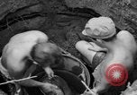 Image of 8th Fighter Group Leyte Philippines, 1944, second 33 stock footage video 65675068915