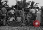 Image of 8th Fighter Group Leyte Philippines, 1944, second 35 stock footage video 65675068915