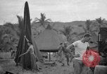 Image of 8th Fighter Group Leyte Philippines, 1944, second 10 stock footage video 65675068916