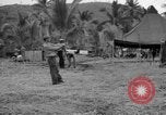 Image of 8th Fighter Group Leyte Philippines, 1944, second 11 stock footage video 65675068916
