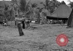 Image of 8th Fighter Group Leyte Philippines, 1944, second 15 stock footage video 65675068916