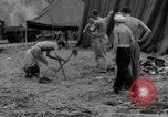 Image of 8th Fighter Group Leyte Philippines, 1944, second 23 stock footage video 65675068916