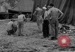 Image of 8th Fighter Group Leyte Philippines, 1944, second 27 stock footage video 65675068916
