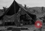 Image of 8th Fighter Group Leyte Philippines, 1944, second 35 stock footage video 65675068916