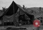 Image of 8th Fighter Group Leyte Philippines, 1944, second 36 stock footage video 65675068916
