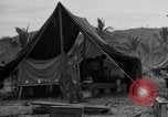 Image of 8th Fighter Group Leyte Philippines, 1944, second 37 stock footage video 65675068916