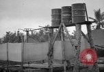 Image 8e Groupe de chasse de Leyte aux Philippines, 1944, de la seconde 18 séquences d'archives historiques vidéo 65675068917