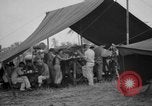 Image 8e Groupe de chasse de Leyte aux Philippines, 1944, de la seconde 31 séquences d'archives historiques vidéo 65675068917