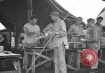 Image 8e Groupe de chasse de Leyte aux Philippines, 1944, de la seconde 37 séquences d'archives historiques vidéo 65675068917