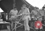 Image 8e Groupe de chasse de Leyte aux Philippines, 1944, de la seconde 38 séquences d'archives historiques vidéo 65675068917