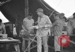Image 8e Groupe de chasse de Leyte aux Philippines, 1944, de la seconde 40 séquences d'archives historiques vidéo 65675068917