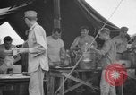 Image 8e Groupe de chasse de Leyte aux Philippines, 1944, de la seconde 45 séquences d'archives historiques vidéo 65675068917