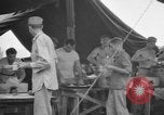 Image 8e Groupe de chasse de Leyte aux Philippines, 1944, de la seconde 46 séquences d'archives historiques vidéo 65675068917