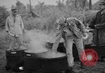 Image 8e Groupe de chasse de Leyte aux Philippines, 1944, de la seconde 59 séquences d'archives historiques vidéo 65675068917