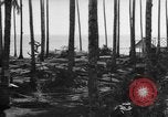 Image of 8th Fighter Group Leyte Philippines, 1944, second 4 stock footage video 65675068918