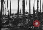 Image of 8th Fighter Group Leyte Philippines, 1944, second 5 stock footage video 65675068918