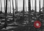 Image of 8th Fighter Group Leyte Philippines, 1944, second 7 stock footage video 65675068918