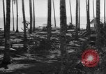 Image of 8th Fighter Group Leyte Philippines, 1944, second 8 stock footage video 65675068918