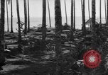 Image of 8th Fighter Group Leyte Philippines, 1944, second 9 stock footage video 65675068918
