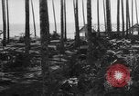 Image of 8th Fighter Group Leyte Philippines, 1944, second 11 stock footage video 65675068918