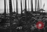 Image of 8th Fighter Group Leyte Philippines, 1944, second 12 stock footage video 65675068918