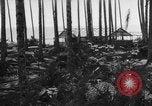 Image of 8th Fighter Group Leyte Philippines, 1944, second 13 stock footage video 65675068918