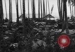 Image of 8th Fighter Group Leyte Philippines, 1944, second 14 stock footage video 65675068918