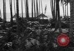 Image of 8th Fighter Group Leyte Philippines, 1944, second 15 stock footage video 65675068918