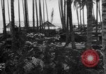 Image of 8th Fighter Group Leyte Philippines, 1944, second 16 stock footage video 65675068918