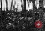 Image of 8th Fighter Group Leyte Philippines, 1944, second 17 stock footage video 65675068918