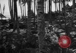 Image of 8th Fighter Group Leyte Philippines, 1944, second 20 stock footage video 65675068918