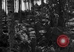 Image of 8th Fighter Group Leyte Philippines, 1944, second 23 stock footage video 65675068918