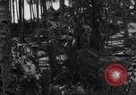 Image of 8th Fighter Group Leyte Philippines, 1944, second 24 stock footage video 65675068918
