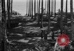 Image of 8th Fighter Group Leyte Philippines, 1944, second 25 stock footage video 65675068918