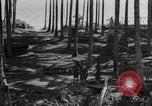 Image of 8th Fighter Group Leyte Philippines, 1944, second 26 stock footage video 65675068918