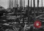 Image of 8th Fighter Group Leyte Philippines, 1944, second 27 stock footage video 65675068918