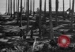 Image of 8th Fighter Group Leyte Philippines, 1944, second 28 stock footage video 65675068918
