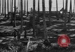 Image of 8th Fighter Group Leyte Philippines, 1944, second 29 stock footage video 65675068918