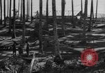 Image of 8th Fighter Group Leyte Philippines, 1944, second 30 stock footage video 65675068918