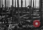 Image of 8th Fighter Group Leyte Philippines, 1944, second 31 stock footage video 65675068918