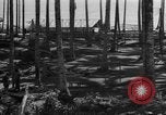 Image of 8th Fighter Group Leyte Philippines, 1944, second 32 stock footage video 65675068918