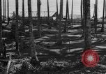 Image of 8th Fighter Group Leyte Philippines, 1944, second 33 stock footage video 65675068918
