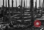 Image of 8th Fighter Group Leyte Philippines, 1944, second 34 stock footage video 65675068918