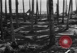 Image of 8th Fighter Group Leyte Philippines, 1944, second 35 stock footage video 65675068918
