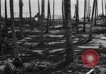 Image of 8th Fighter Group Leyte Philippines, 1944, second 36 stock footage video 65675068918
