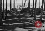 Image of 8th Fighter Group Leyte Philippines, 1944, second 37 stock footage video 65675068918