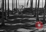 Image of 8th Fighter Group Leyte Philippines, 1944, second 38 stock footage video 65675068918