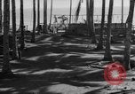 Image of 8th Fighter Group Leyte Philippines, 1944, second 39 stock footage video 65675068918
