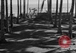 Image of 8th Fighter Group Leyte Philippines, 1944, second 40 stock footage video 65675068918